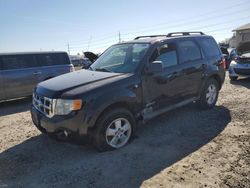 Vehiculos salvage en venta de Copart Eugene, OR: 2008 Ford Escape XLT