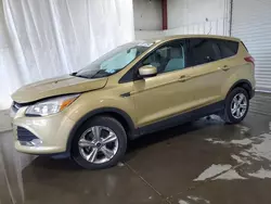 Ford Vehiculos salvage en venta: 2014 Ford Escape SE