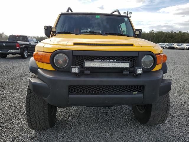 2007 Toyota FJ Cruiser