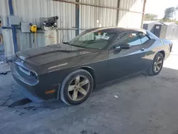 Dodge Vehiculos salvage en venta: 2013 Dodge Challenger SXT