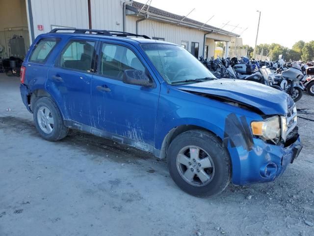 2011 Ford Escape XLS