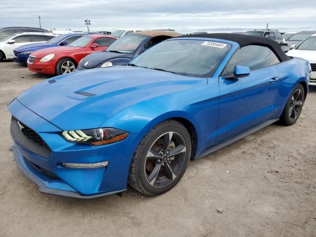 2019 Ford Mustang