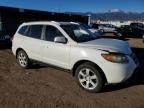 2007 Hyundai Santa FE SE