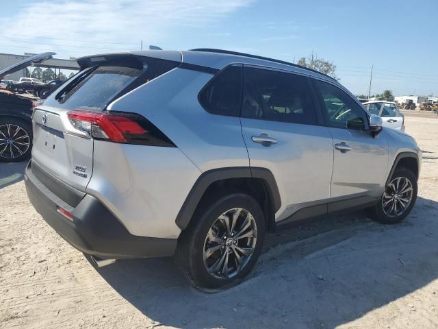 2023 Toyota Rav4 XLE Premium