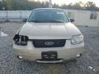 2007 Ford Escape XLT