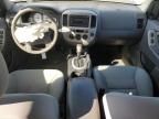 2007 Ford Escape XLT