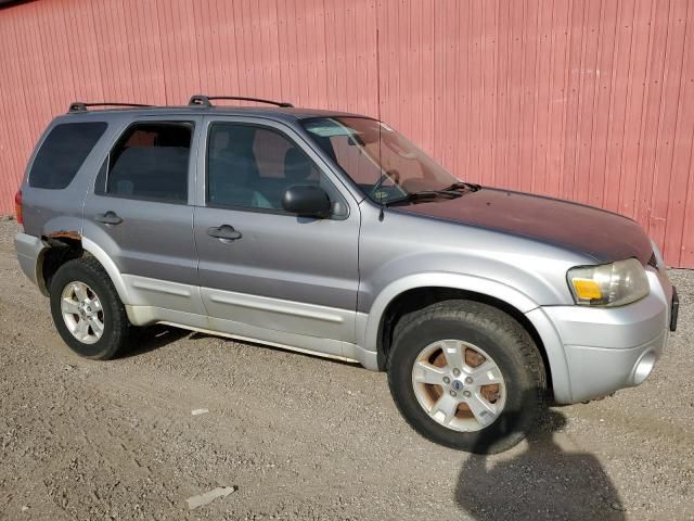 2007 Ford Escape XLT