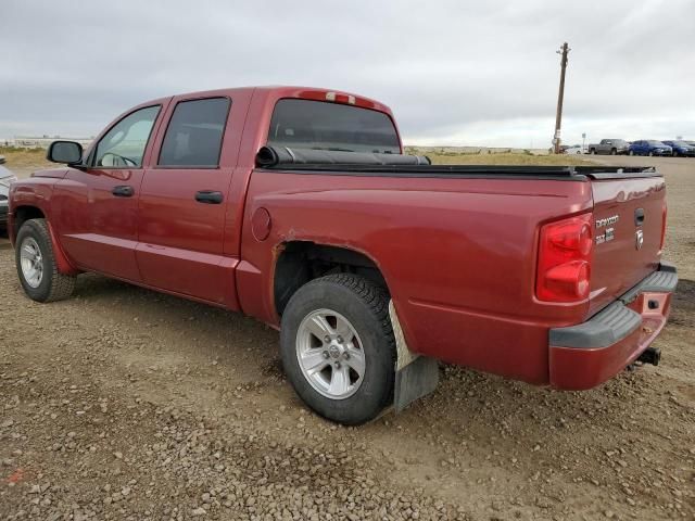 2008 Dodge Dakota SXT