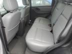 2007 Ford Escape XLT