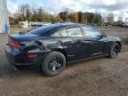 2013 Dodge Charger Police