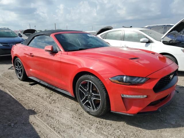 2020 Ford Mustang