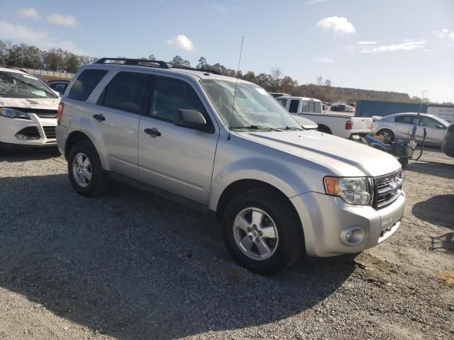 2009 Ford Escape XLT