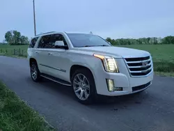 Cadillac Vehiculos salvage en venta: 2015 Cadillac Escalade Luxury