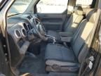 2006 Honda Element EX