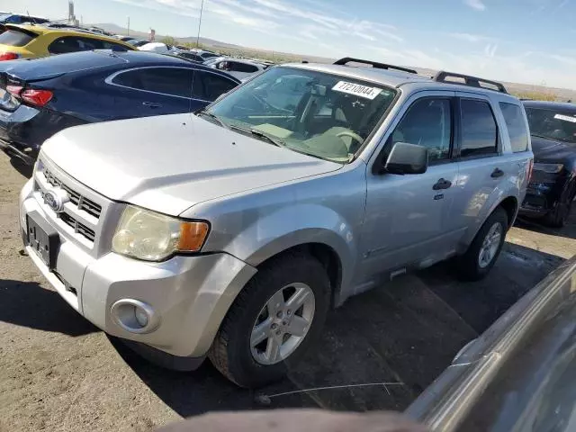 2010 Ford Escape Hybrid