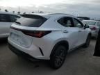 2022 Lexus NX 350