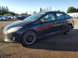 2013 Ford Focus SE en venta en Bowmanville, ON