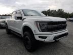 2021 Ford F150 Raptor