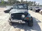 2001 Jeep Wrangler / TJ Sahara