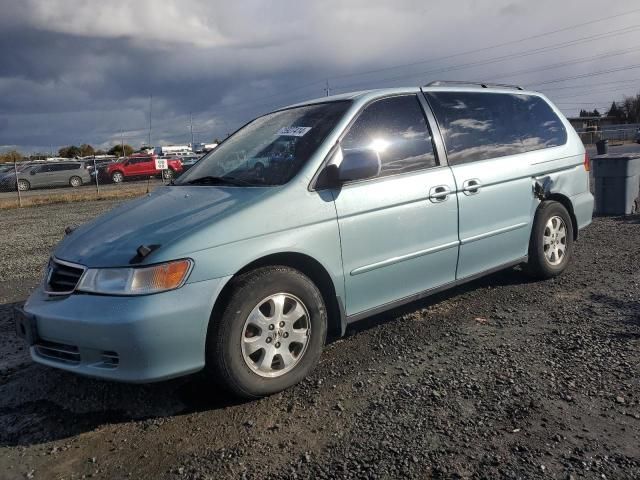 2004 Honda Odyssey EXL