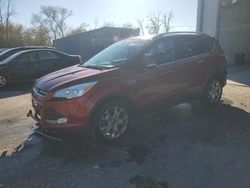 Salvage cars for sale at Franklin, WI auction: 2014 Ford Escape Titanium