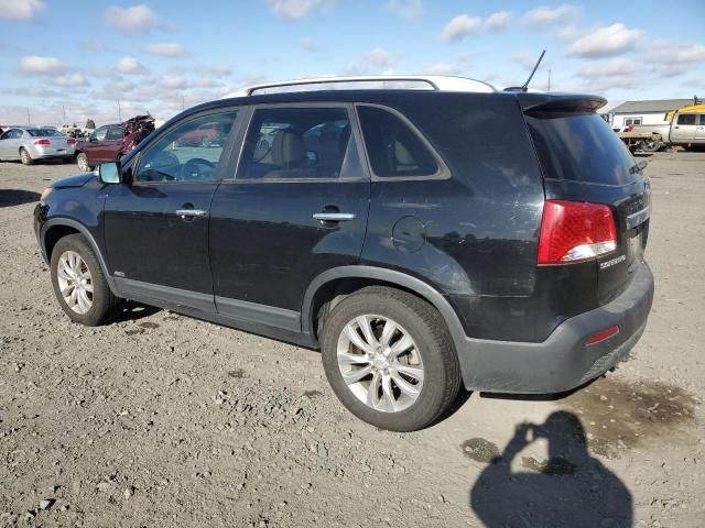 2011 KIA Sorento EX