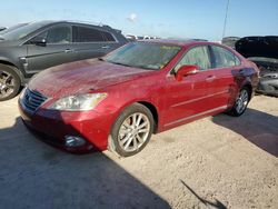 2012 Lexus ES 350 en venta en Riverview, FL