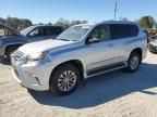 2014 Lexus GX 460