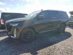 Carros salvage para piezas a la venta en subasta: 2021 Cadillac Escalade Premium Luxury Platinum