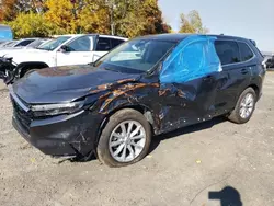 Honda cr-v exl Vehiculos salvage en venta: 2024 Honda CR-V EXL