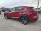 2020 Lexus NX 300 F Sport