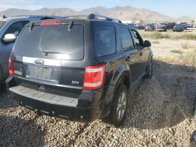 2010 Ford Escape Limited