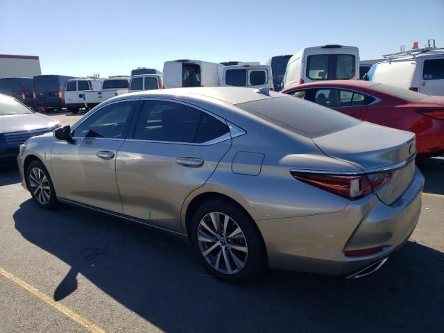 2019 Lexus ES 350