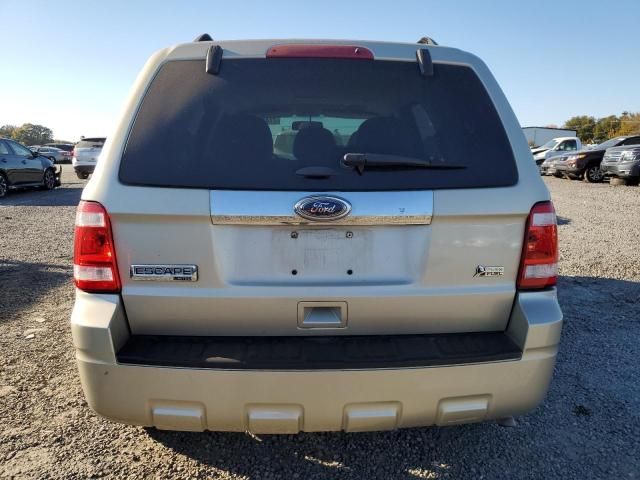 2011 Ford Escape Limited