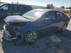 Salvage cars for sale at auction: 2017 Toyota Prius