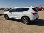 2023 Hyundai Santa FE SEL Premium