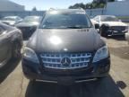 2011 Mercedes-Benz ML 350 4matic