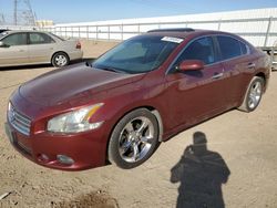 Salvage cars for sale at Adelanto, CA auction: 2011 Nissan Maxima S