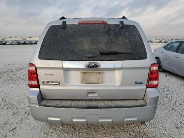 2011 Ford Escape Limited