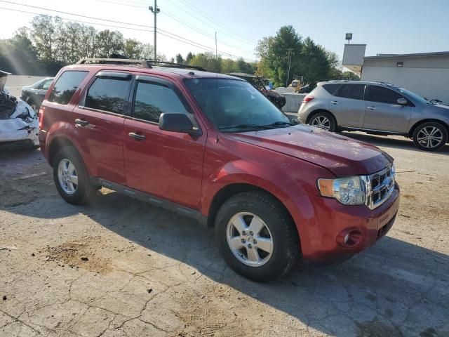 2009 Ford Escape XLT