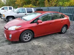 Toyota salvage cars for sale: 2010 Toyota Prius