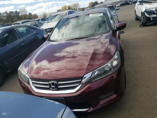 2013 Honda Accord Sport