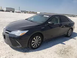 Salvage cars for sale at New Braunfels, TX auction: 2015 Toyota Camry Hybrid