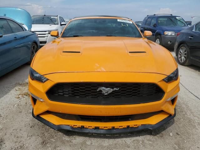 2019 Ford Mustang