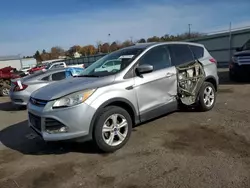 Ford Vehiculos salvage en venta: 2014 Ford Escape SE