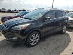 Ford salvage cars for sale: 2014 Ford Escape Titanium