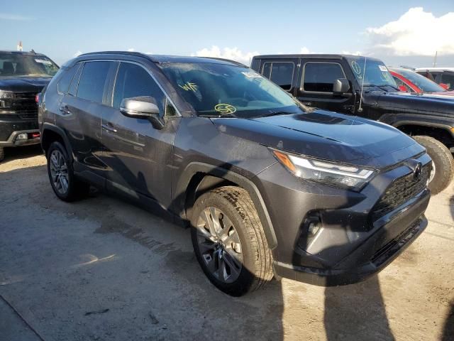 2024 Toyota Rav4 XLE Premium