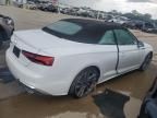 2024 Audi S5 Premium Plus