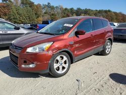 Carros salvage sin ofertas aún a la venta en subasta: 2015 Ford Escape SE