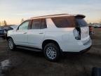 2024 Chevrolet Tahoe K1500